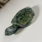 Mosagaat schildpad 5