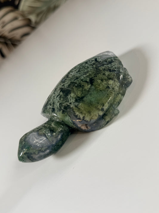 Moss Agate turtle 5