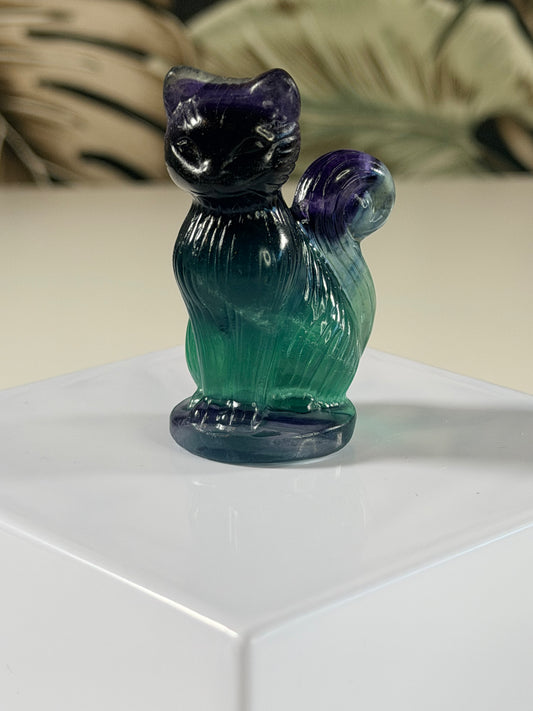 Fluorit Katze 2