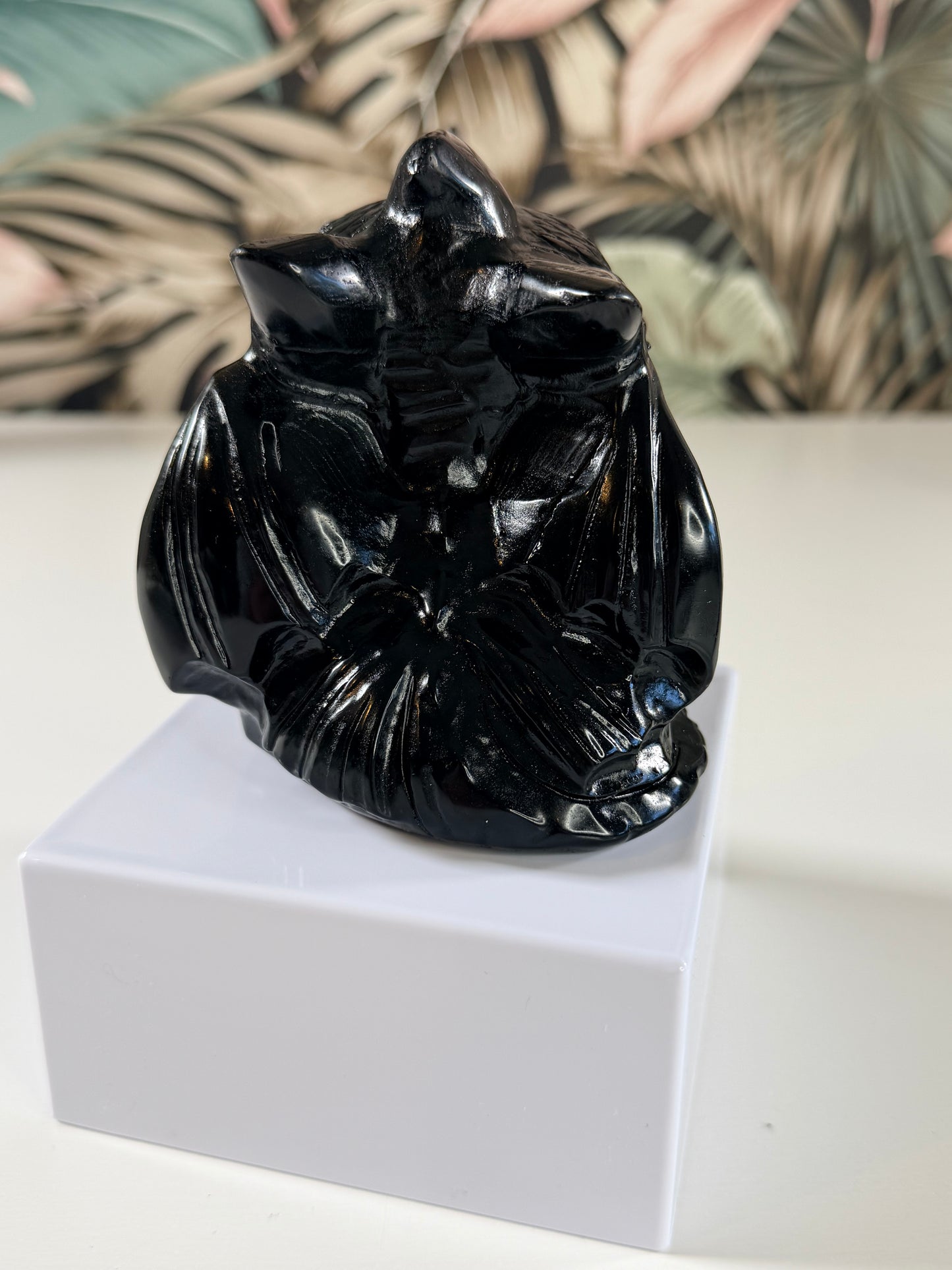 Obsidian Zahnlos