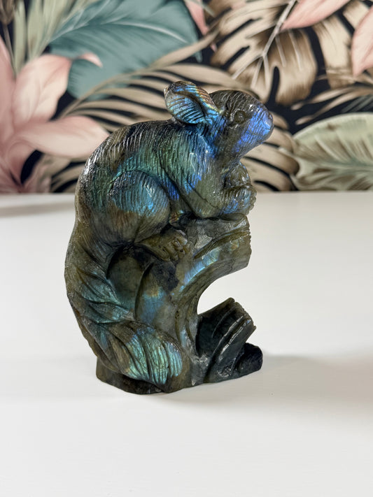 Labradorite Chinchilla