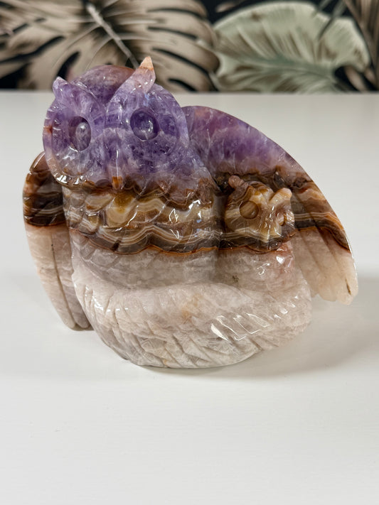Amethyst mit Crazy Lace Achat Eulen 1