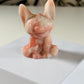 Rosa Opal Stich 9