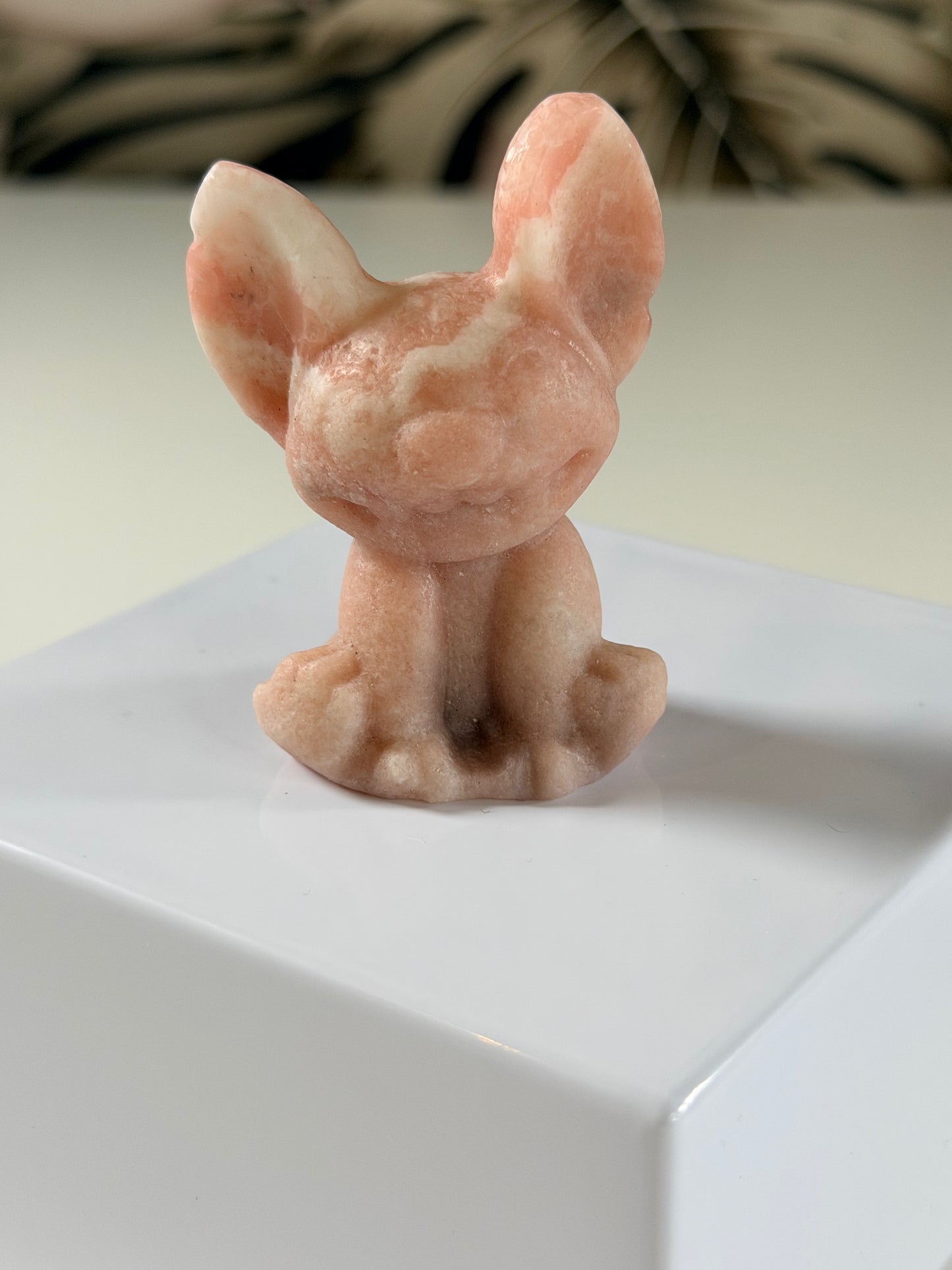 Rosa Opal Stitch 6