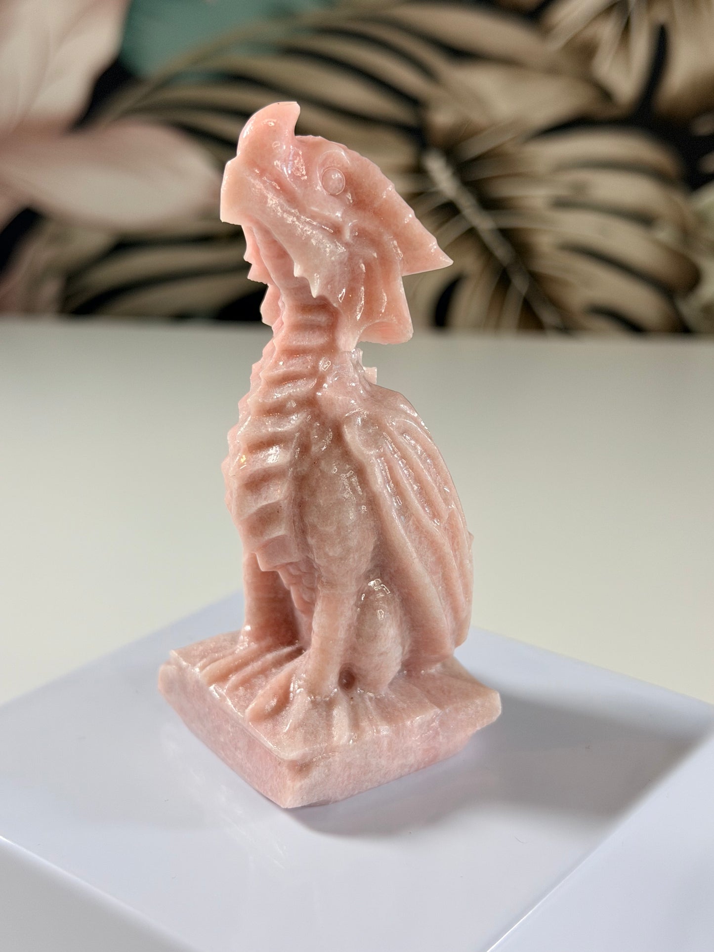Rosa Opal Drache