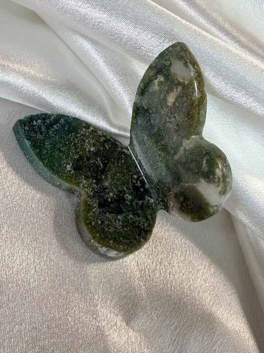 Moosachat Schmetterling 3