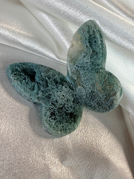 Moosachat Schmetterling 4