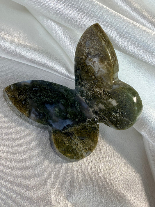 Moosachat Schmetterling 6