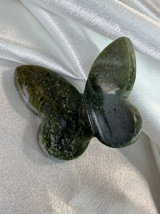 Moosachat Schmetterling 10