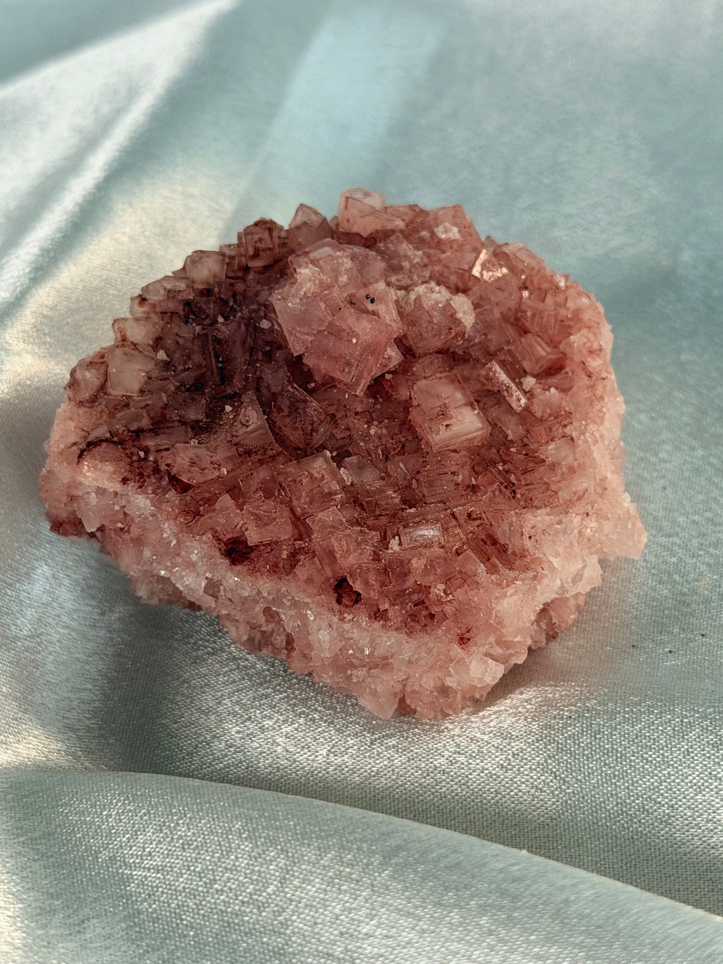 Roze Haliet 1