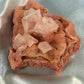 Roze Haliet 7