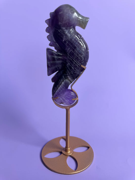 Seahorse Fluorite 17