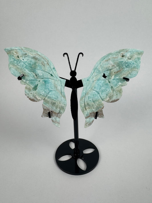 Hemimorfiet vlinder 24