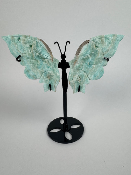 Hemimorfiet vlinder 26