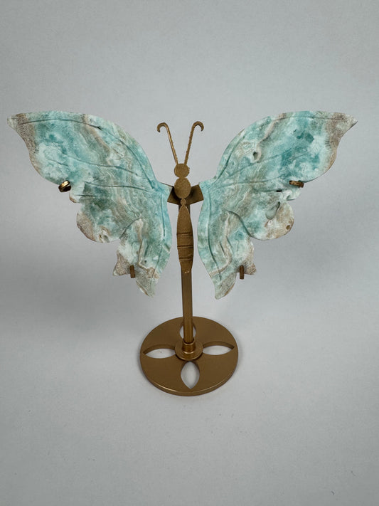 Hemimorfiet vlinder 27