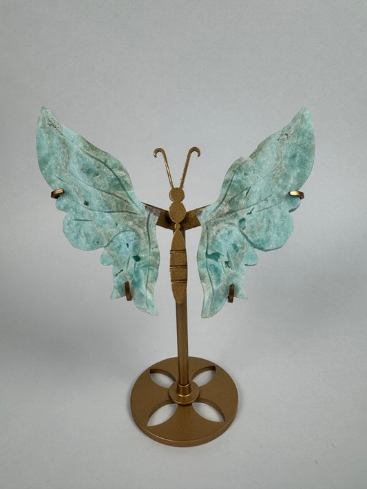 Hemimorfiet vlinder 28