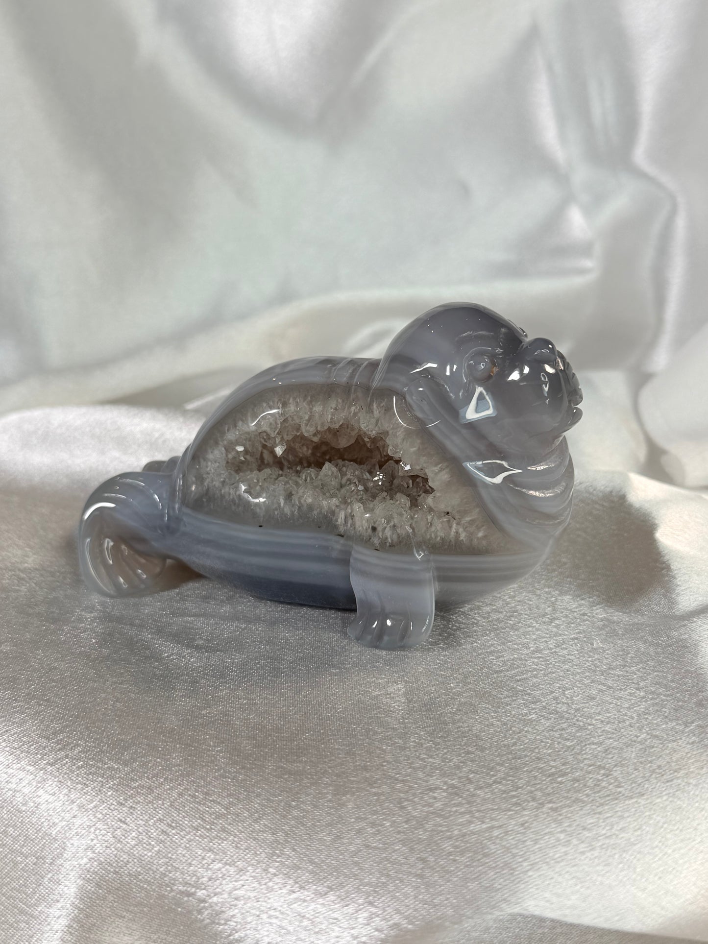 Agaat Walrus 1