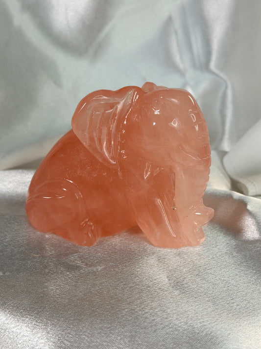 Rozenkwarts olifant