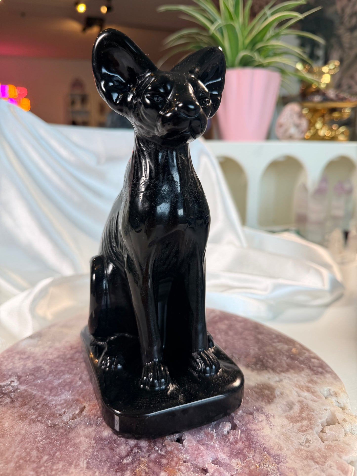 Obsidiaan sphinx kat