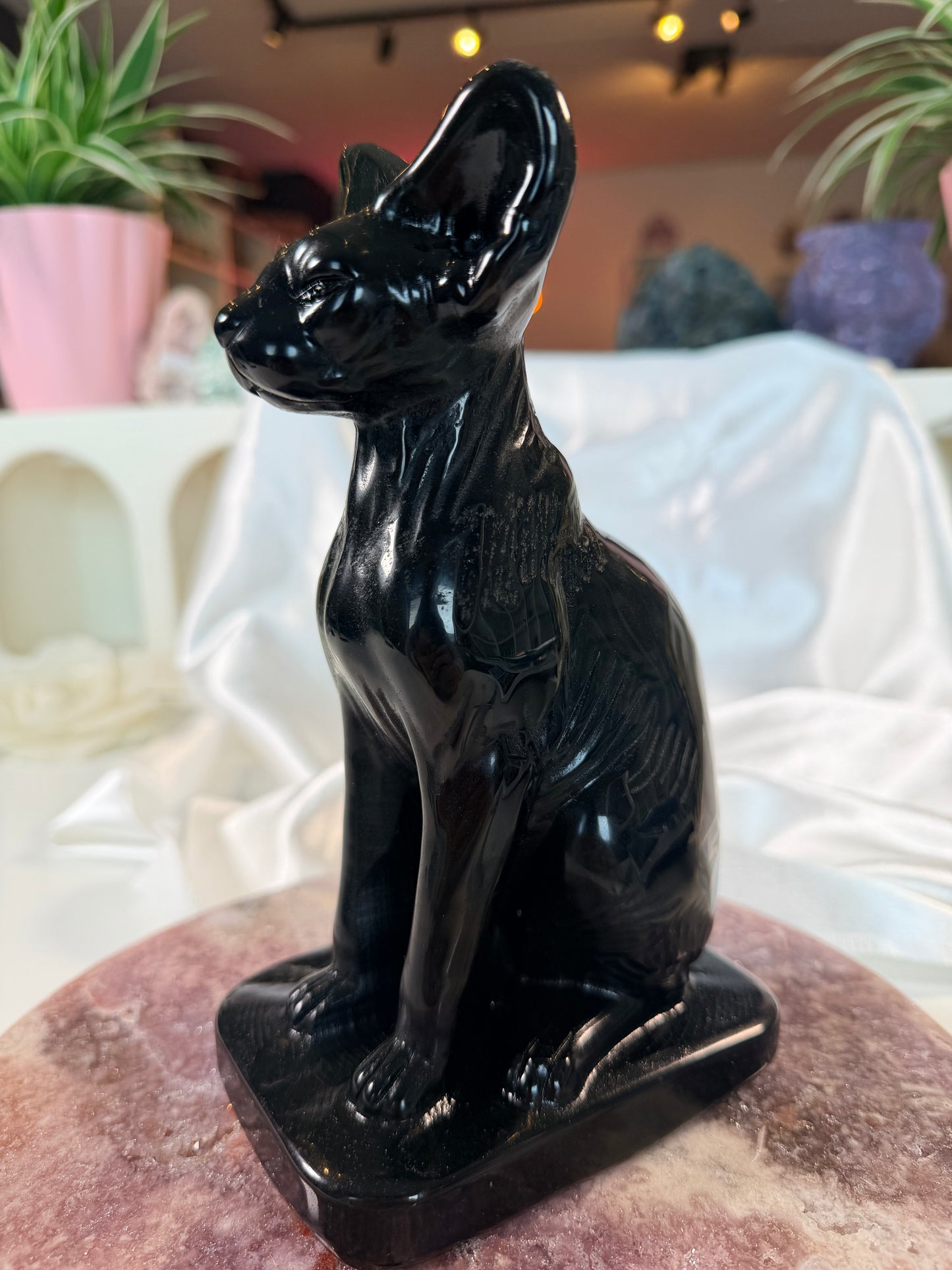 Obsidiaan sphinx kat
