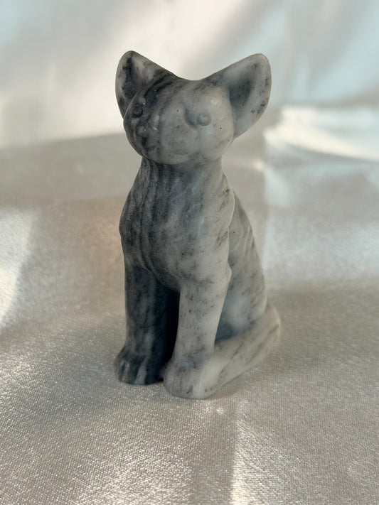 Tai Chi sphinx kat 1