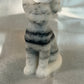 Tai Chi sphinx kat 2