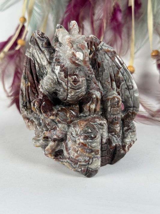 Crazy Lace Agaat draak