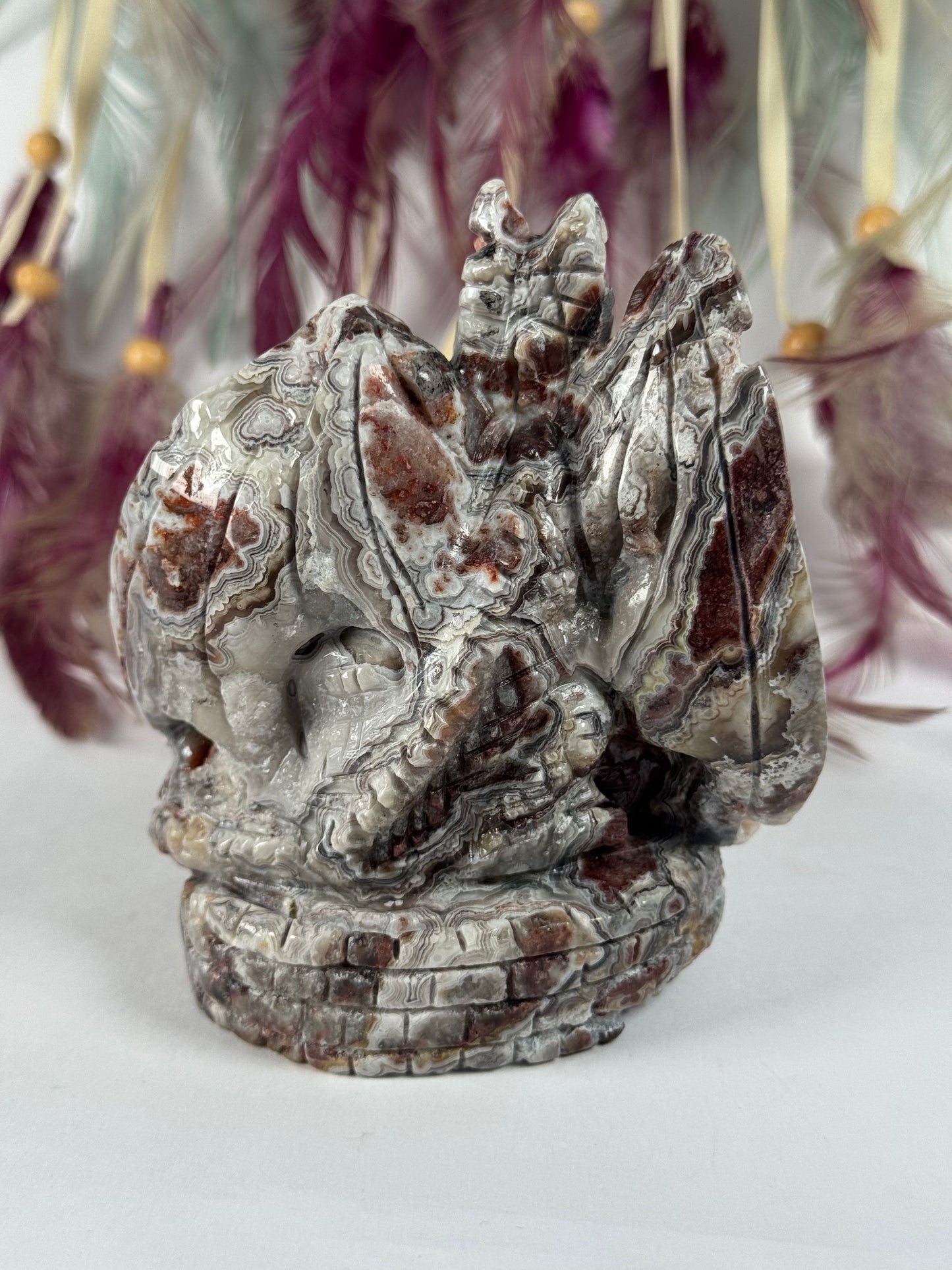 Crazy Lace Agaat draak