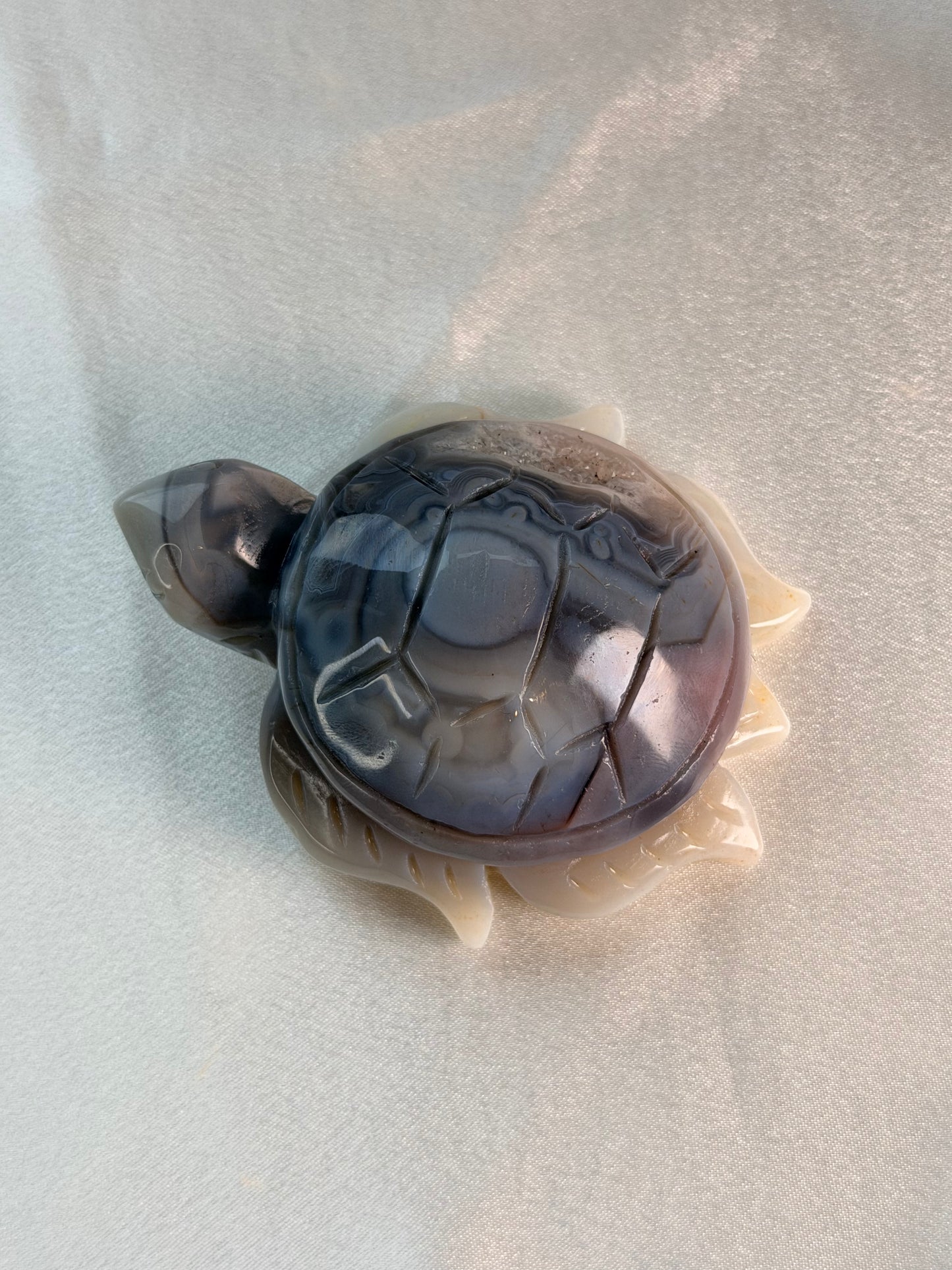 Swazi Agaat schildpad 1