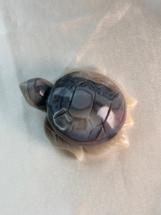 Swazi Agaat schildpad 1