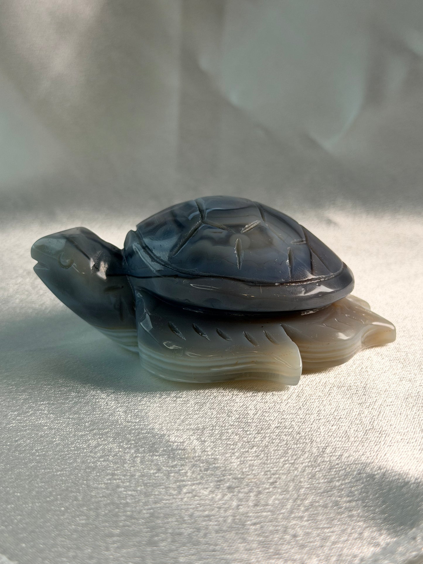 Swazi Agaat schildpad 1