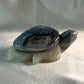 Swazi Agaat schildpad 1