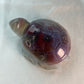 Swazi Agaat schildpad 2