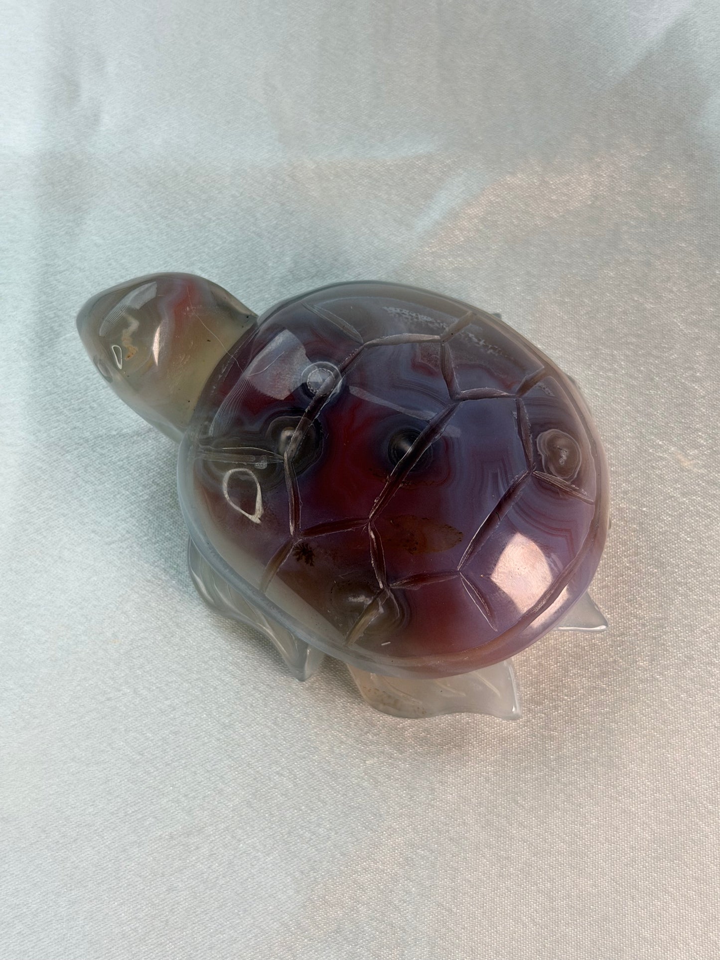 Swazi Agaat schildpad 2
