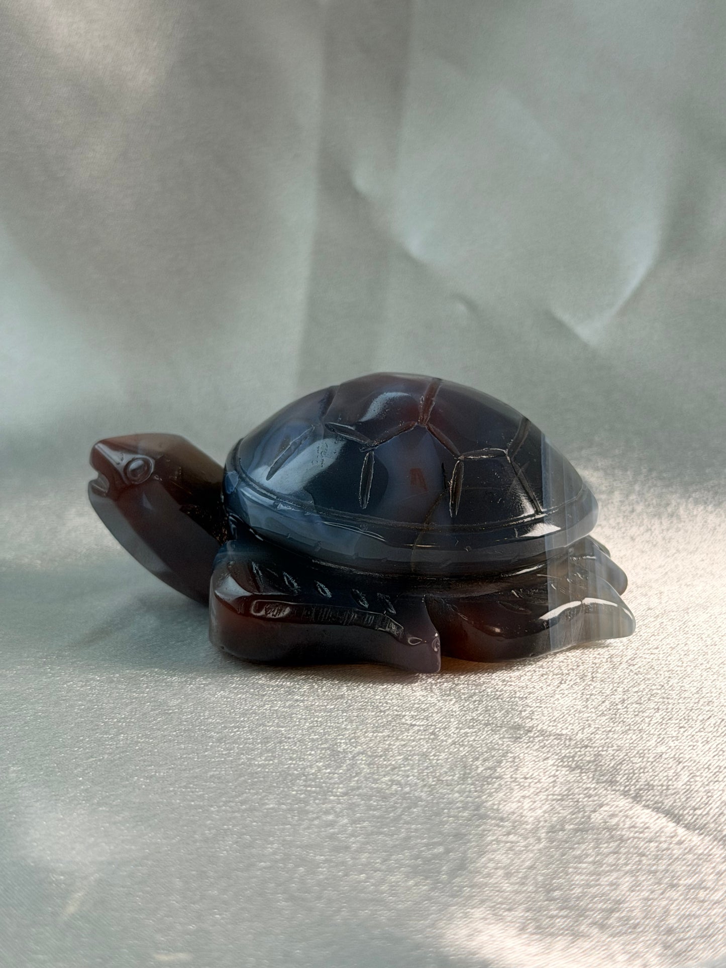 Swazi Agaat schildpad 3