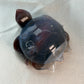 Swazi Agaat schildpad 3