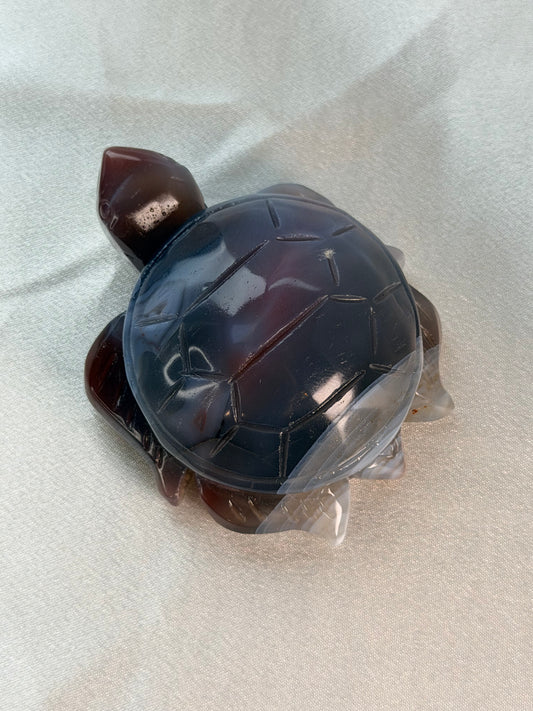 Swazi Agaat schildpad 3