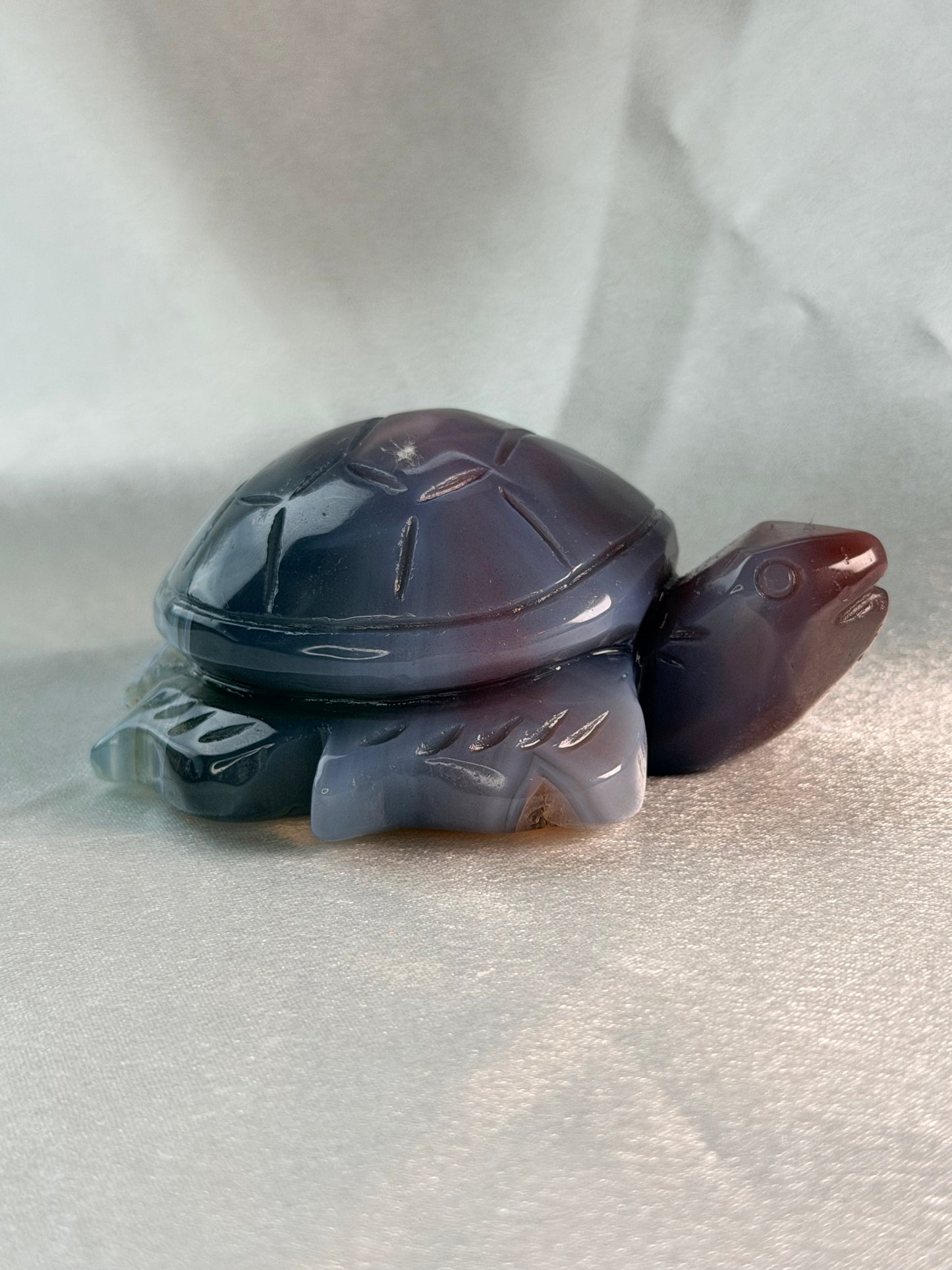 Swazi Agaat schildpad 3
