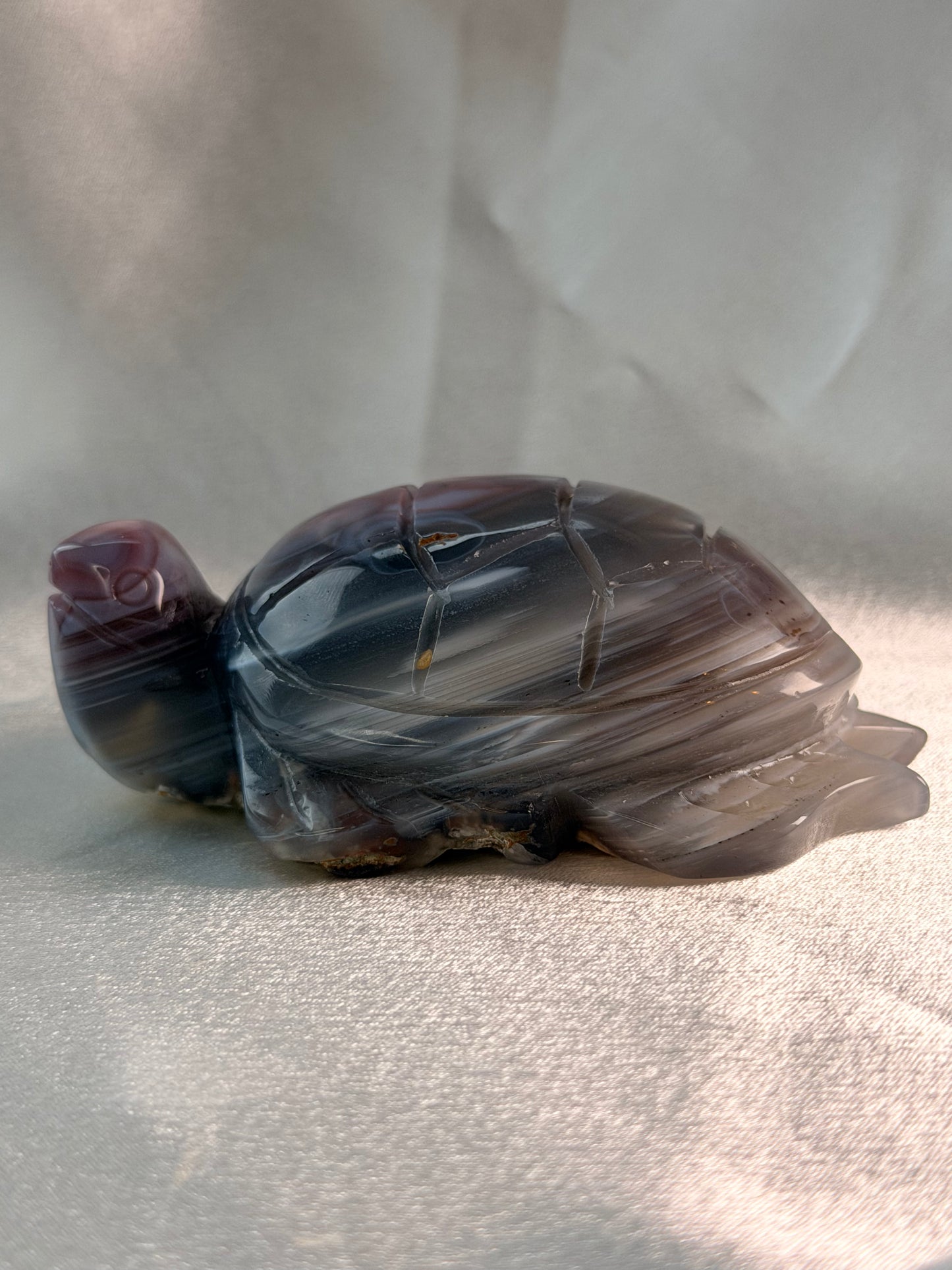 Swazi Agaat schildpad 4