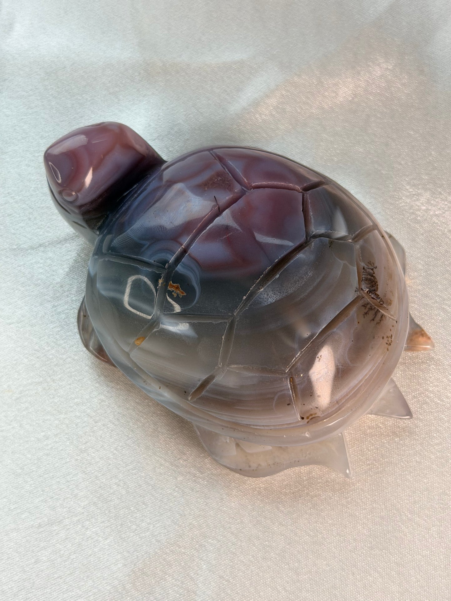 Swazi Agaat schildpad 4