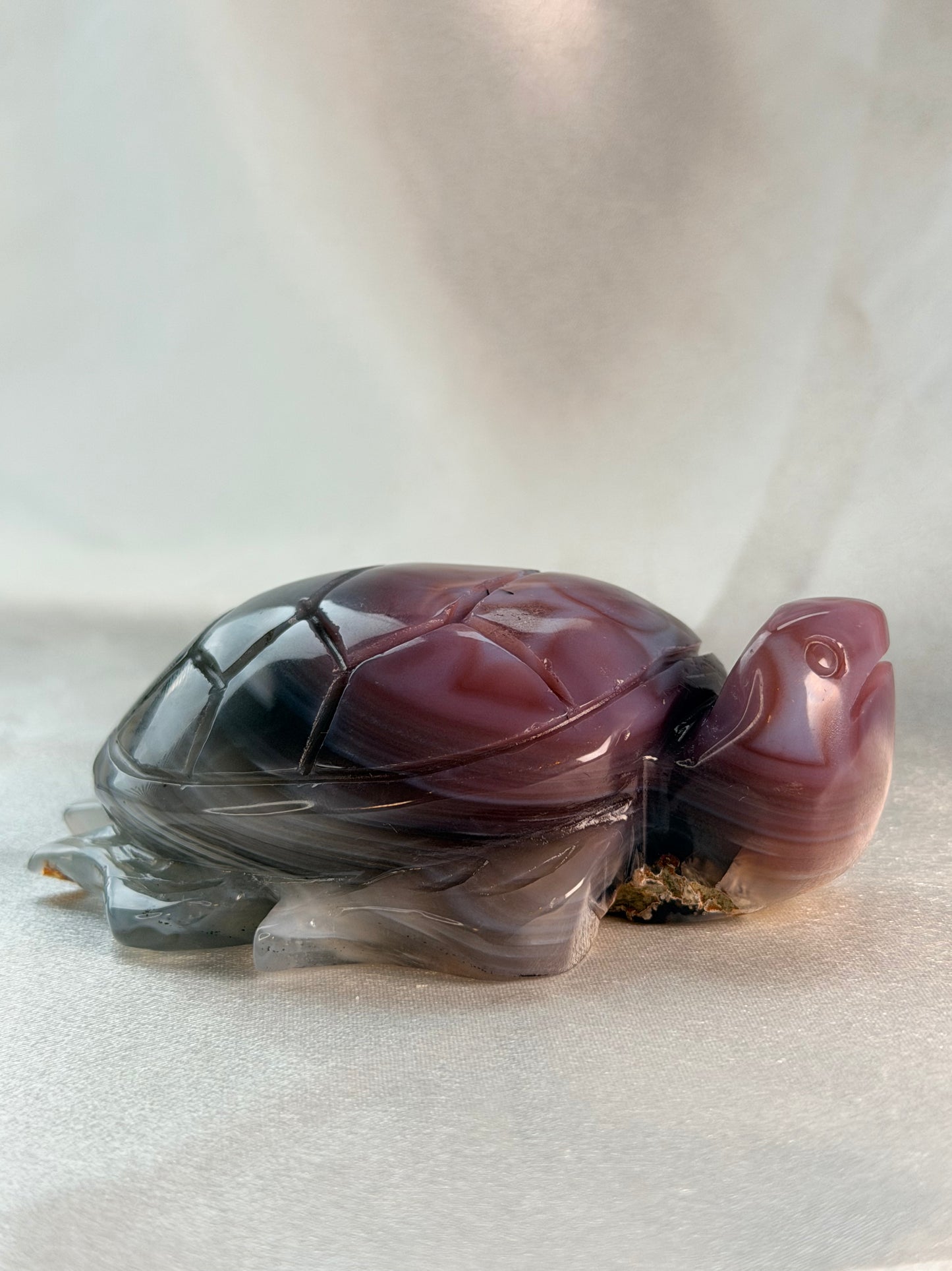 Swazi Agaat schildpad 4