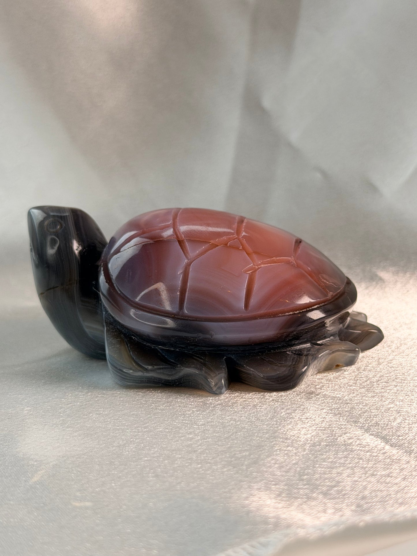 Swazi Agaat schildpad 5