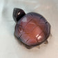 Swazi Agaat schildpad 5