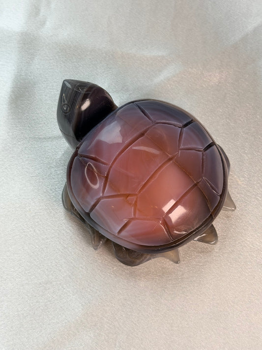 Swazi Agaat schildpad 5