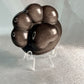 Zilver Obsidiaan kattenpootje 2