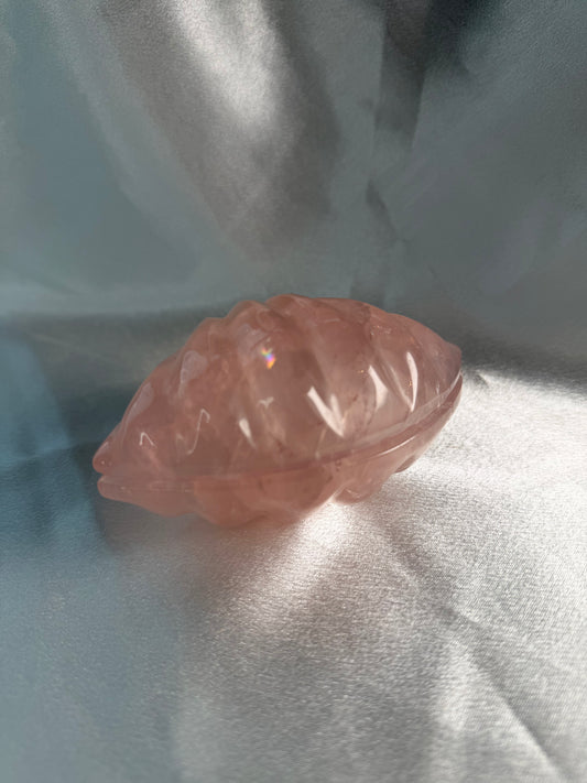 Rozenkwarts schelp
