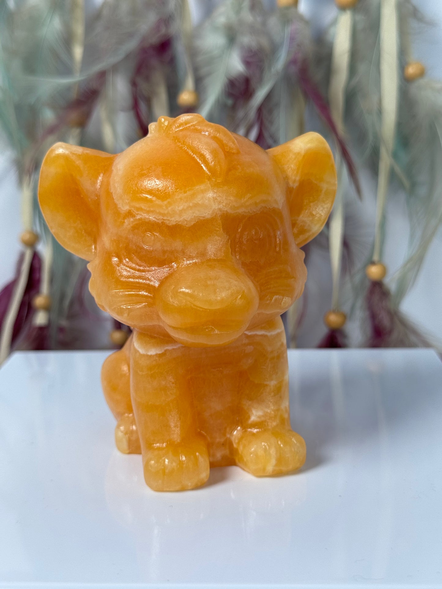 Simba gele Calciet 88