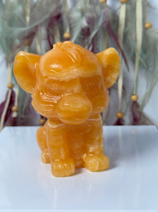 Simba gele Calciet 88