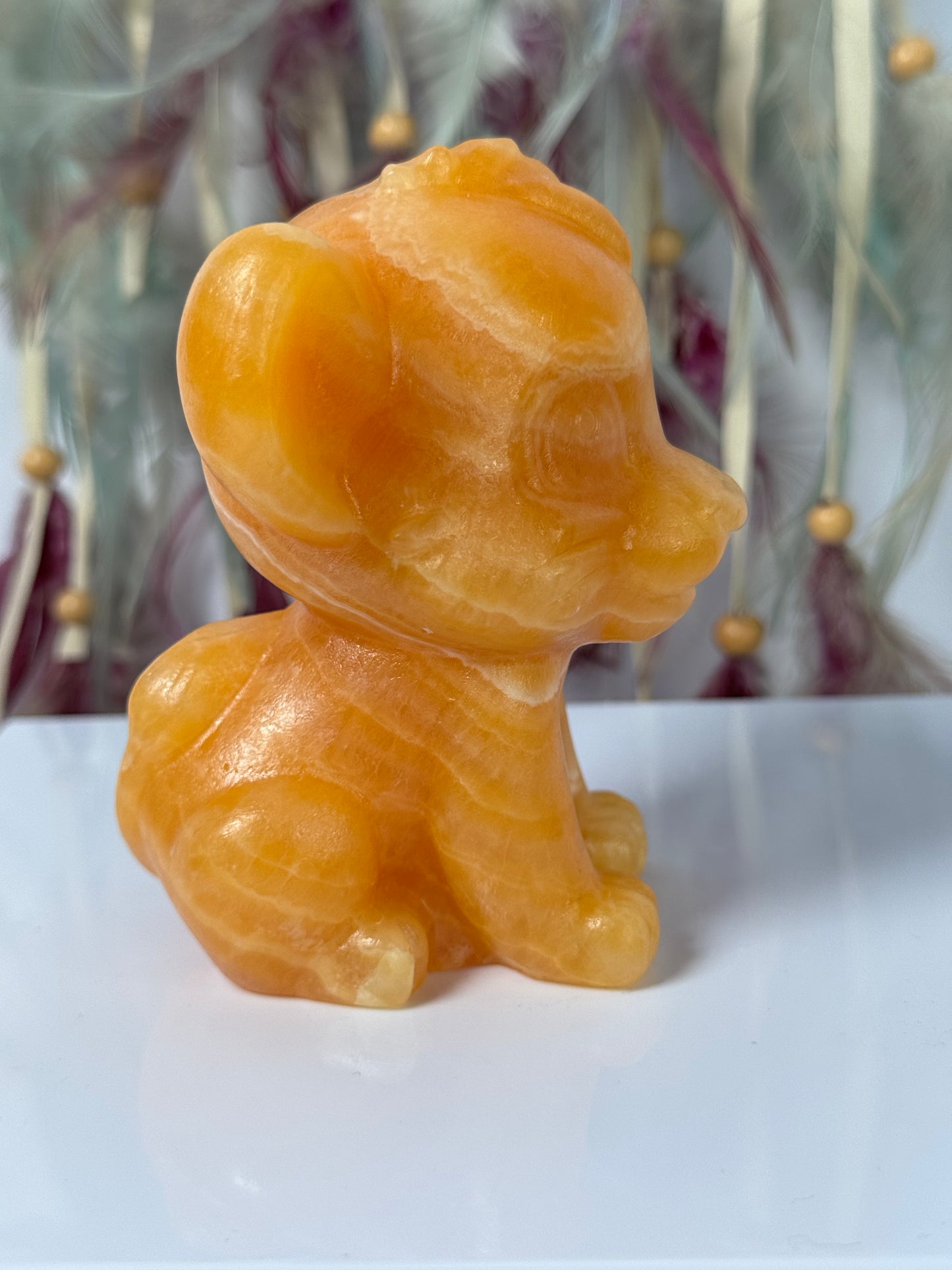 Simba gele Calciet 88