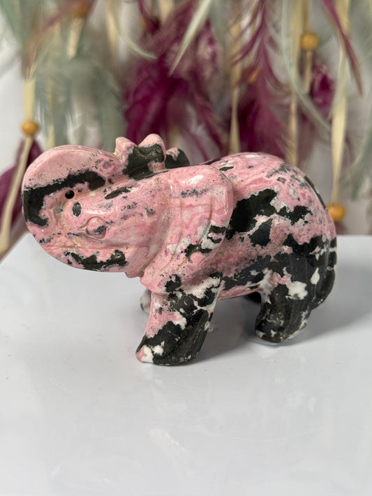 Olifant Peruaanse Rhodoniet 1